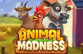 Animal Madness